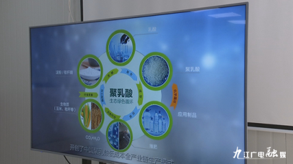 羅小云副省長赴潯調研聚乳酸全產業鏈項目，聚焦生物基材料研發新進展