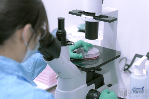 打造產業鏈 惠邦生物以獨創能力加碼IVD創新產品研發，持續發力原料市場與生物基材料技術研發